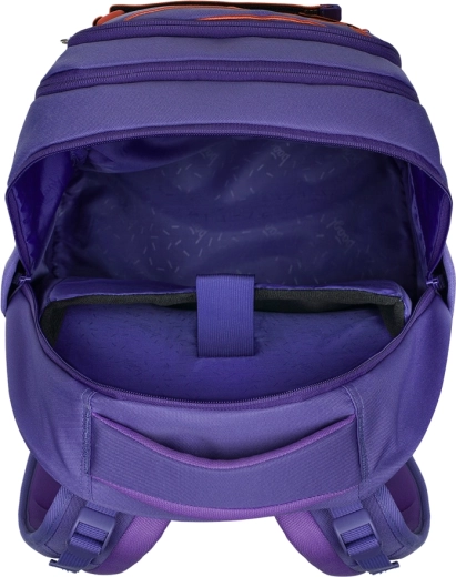 Clevere Organisation und Schutz für Elektronik