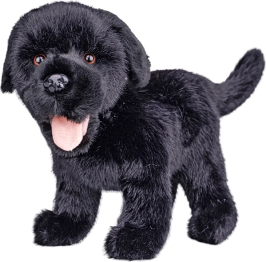 Plüsch-Labrador schwarz 23 cm - 1 Stück