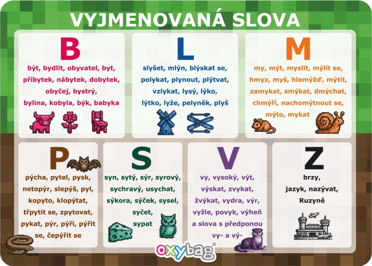 PlayWorld Lernkarte A4 – wyjmenovaná slova