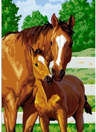 Diamant-Mosaik (Diamond Painting) niedliches Fohlen 30 × 40 cm