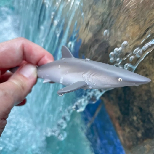 Ideal für unterwegs und zum Spielen am Wasser