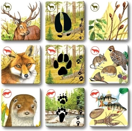 Robuste Kärtchen für häufiges Spielen