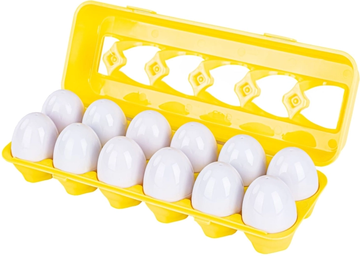 Praktisches Tray zum Aufbewahren und Transportieren