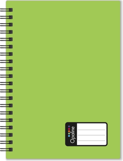 A4-Notizblock mit Doppelspirale, PP-Cover, grün, 60 Blatt