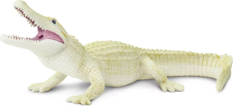 Albino-Krokodil Safari Ltd. – 1 Stück