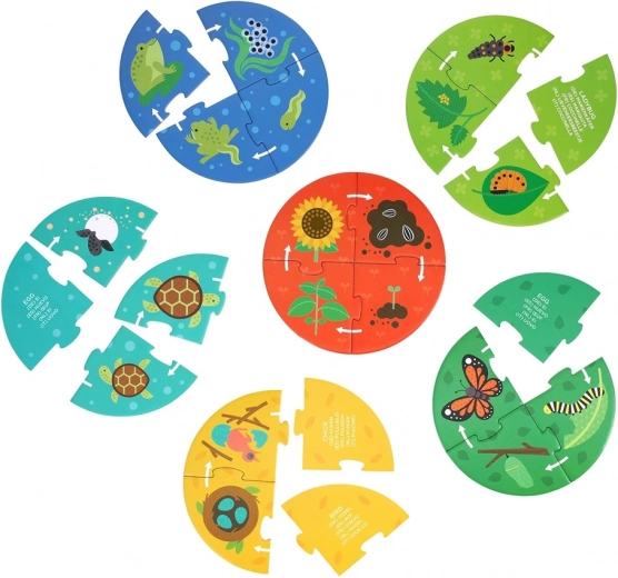 Petit Collage Puzzle Entdecker Lebenszyklus