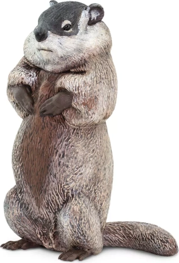 Safari Ltd. Figur Murmeltier – 1 Stück