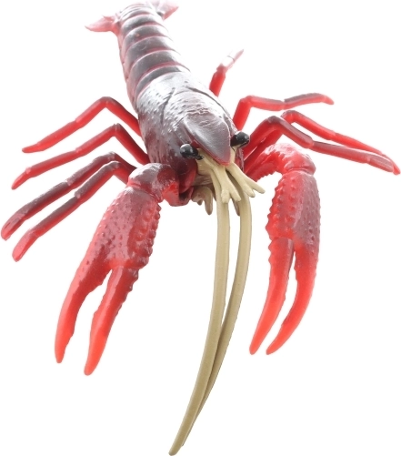 Ideale Größe für Kinderhände