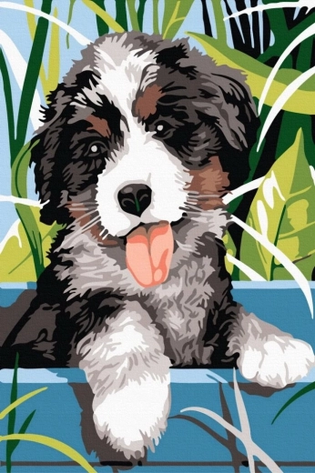 Norimpex Malen nach Zahlen, lächelnder Hund, 40 × 50 cm