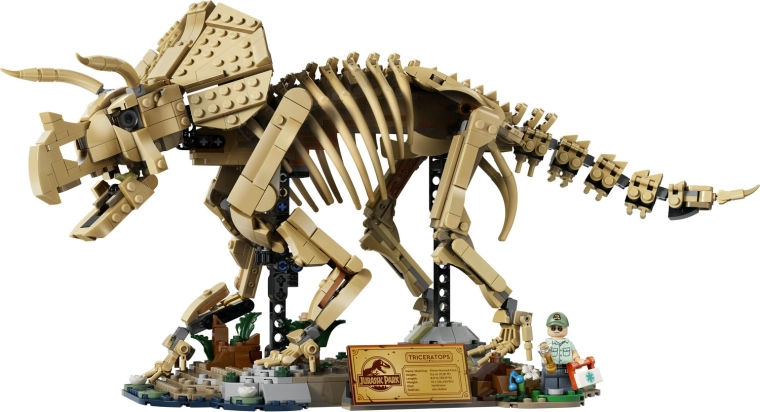 Bewegliches Triceratops-Skelett