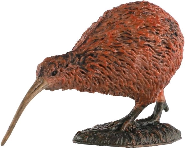 Detailgetreue Darstellung des Kiwis