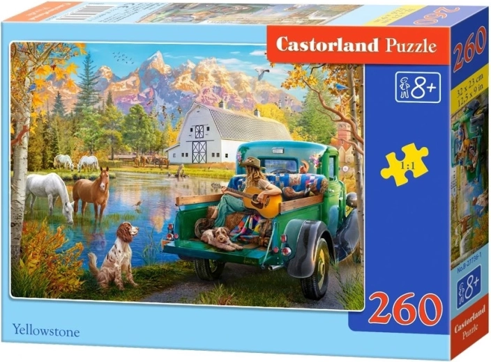 Castorland Puzzle Yellowstone 260 Teile