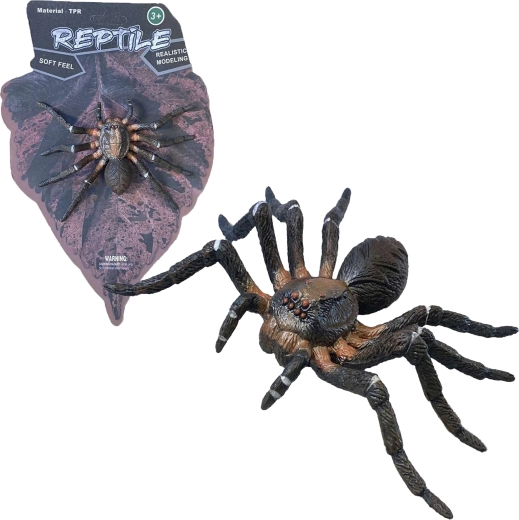 Lebendige Natur: Wolf Spider – realistisches Spinnenmodell (12 cm)