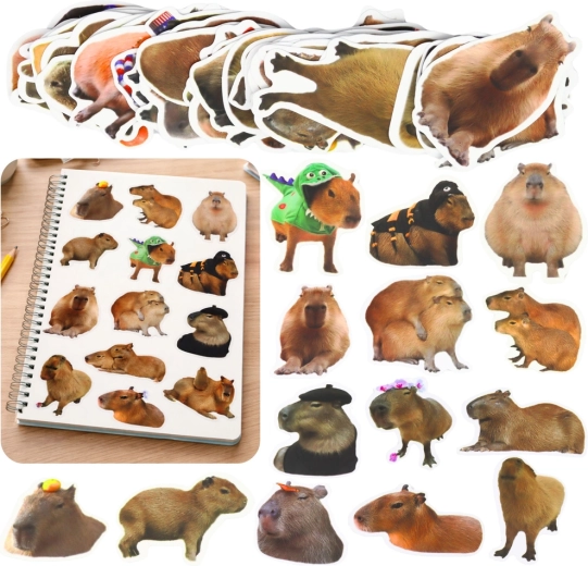 Set Aufkleber Capybara – realistische Motive, Papier, 50 Stk. (6–7 cm)