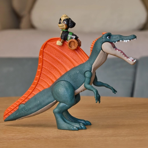Rex gleitet über den Rücken