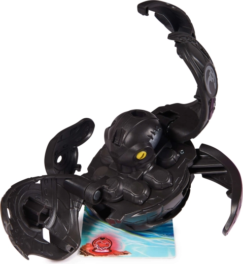 alles Nötige zum Spielen im Set