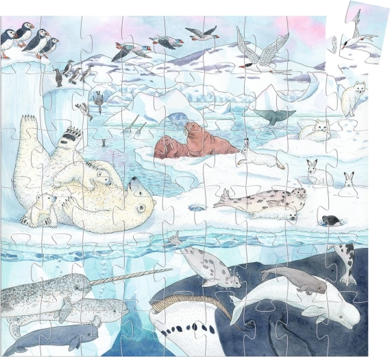 Wunderschöne Illustration der Polarwelt
