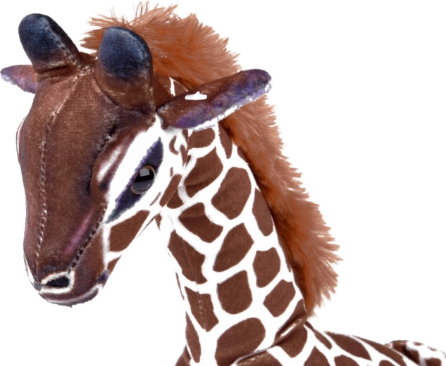 Sichere Details und hochwertige Verarbeitung