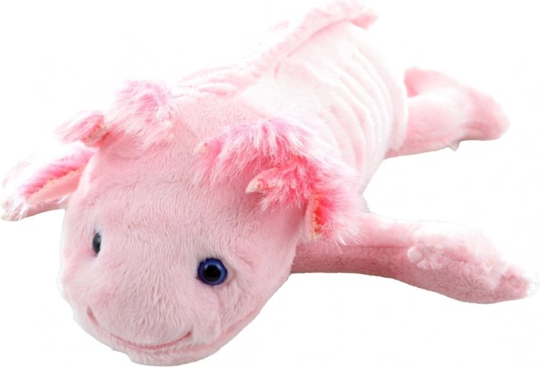 Niedliche Axolotl-Details
