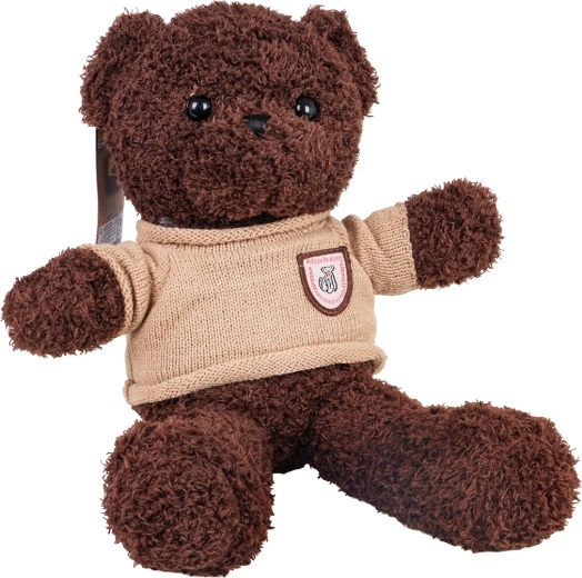 Brauner Plüsch-Teddybär im Pullover