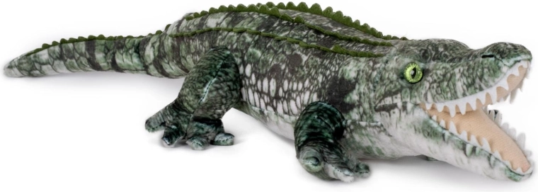 Realistisches Aussehen eines Krokodils