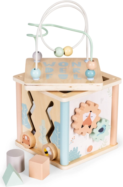 Hölzerner Lernwürfel mit Sortierer ECOTOYS