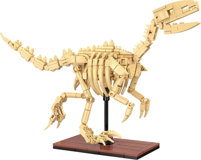 Leuchtende Skelette und hochwertige Präsentation