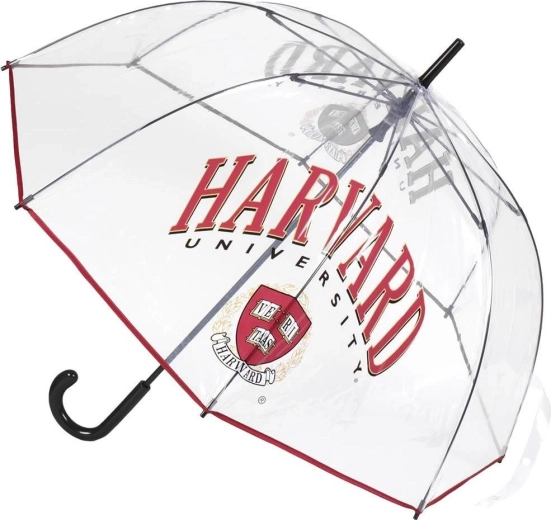 Transparenter XL-Regenschirm Harvard - 1 Stück