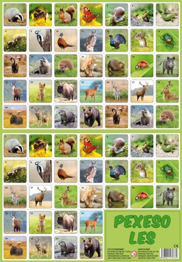 Pexeso Wald – Waldtiere