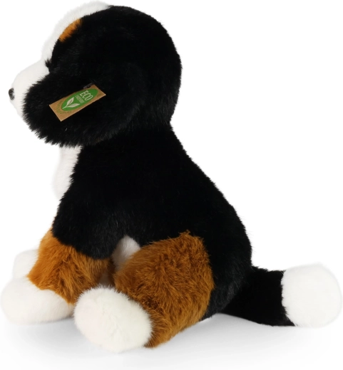 Naturgetreue Gestaltung des Berner Sennenhundes