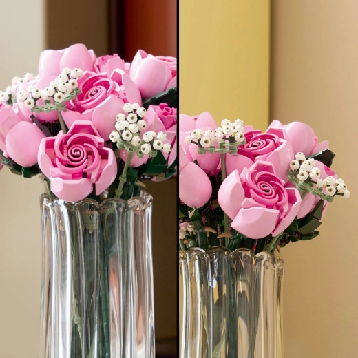 Rosen in mehreren Blühstadien