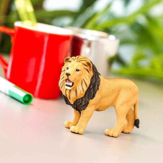 Zum Spielen, Lernen und Sammeln
