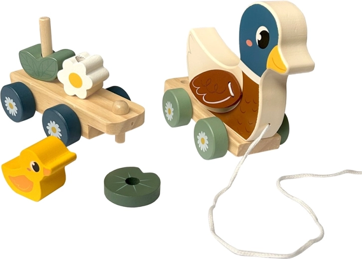Motorik spielerisch fördern