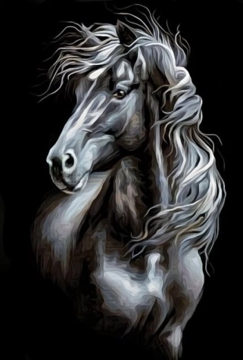 Diamantmalerei Schwarz-weißes Pferd 30 × 40 cm