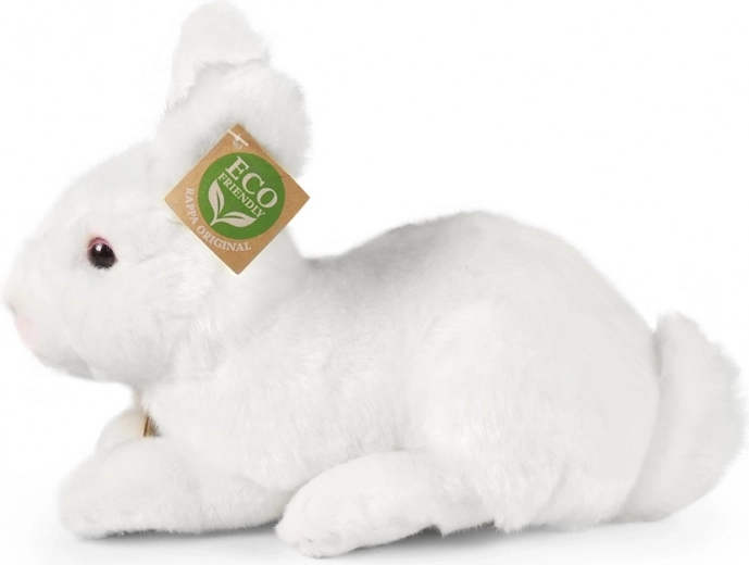 Sicher für die Kleinsten ab 0+