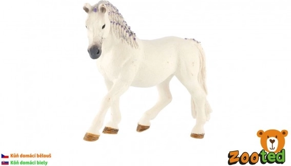 Schimmel mit violettem Kamm