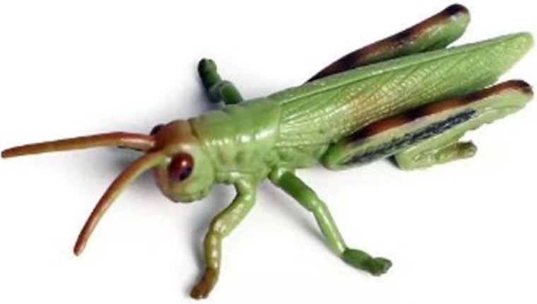 Insekt – Heuschrecke 9 cm