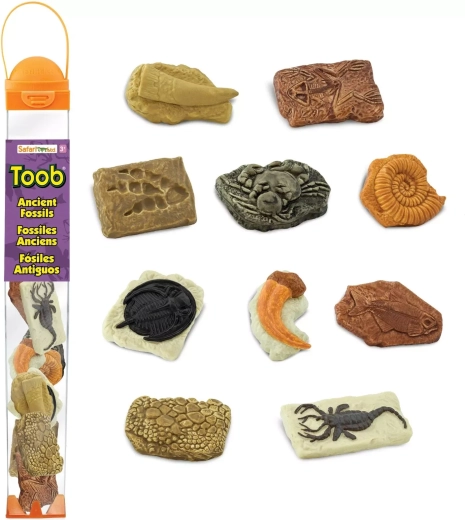 Safari Ltd. Toobs Fossilien-Tube
