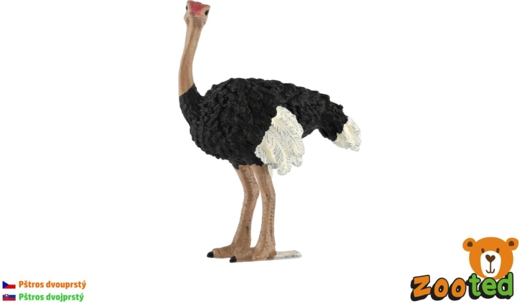 Figur des Zweifingerstraußes, 11 cm