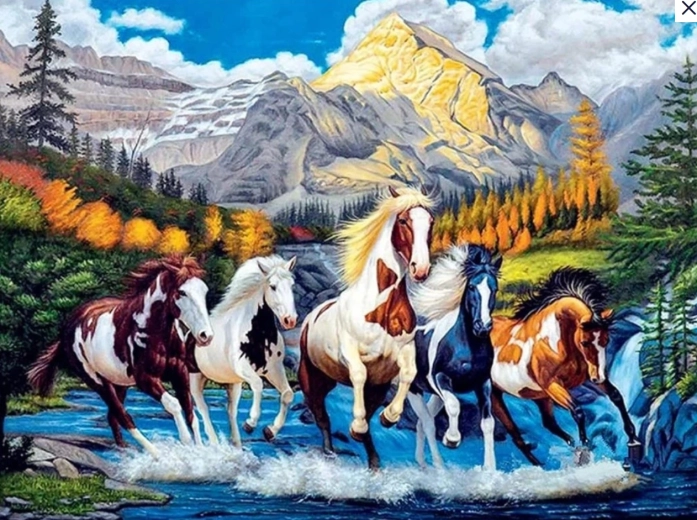 Diamantmalen – Schecken 30 × 40 cm