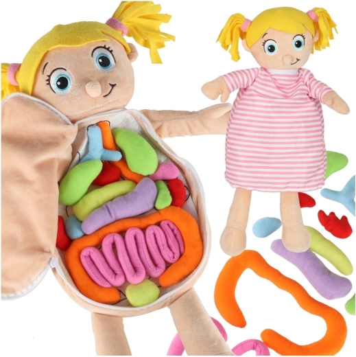 Plüsch-Anatomiepuppe für Kinder Montessori