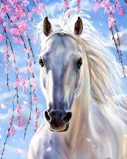 Norimpex Malen nach Zahlen – weißes Pferd unter rosa Blütenzweigen 40 × 50 cm