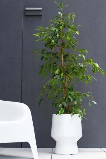 Stilvolles Wohnaccessoire