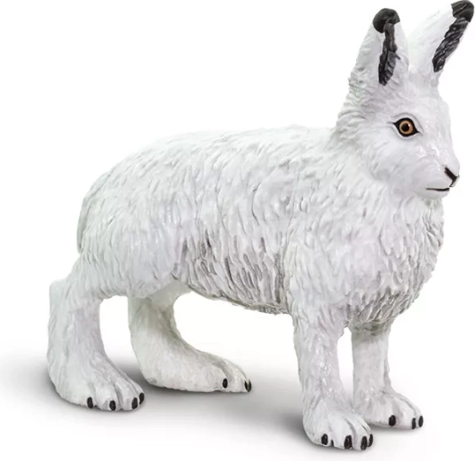 Polarhase Safari Ltd. – 1 Stück