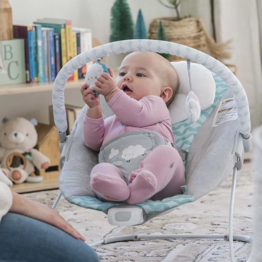 Abnehmbarer Spielbogen mit 2 Plüschspielzeugen