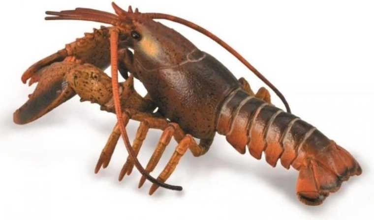 Collecta Hummer – realistische Bildungsfigur