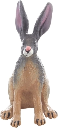 Ideale Größe für Sammlung und unterwegs