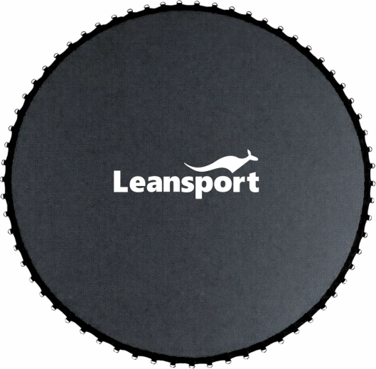 Sprungtuch für Trampolin 10 ft 305–312 cm