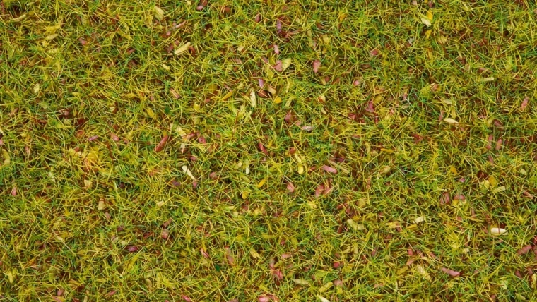 Noch statisches Gras Blühwiese 2,5 mm