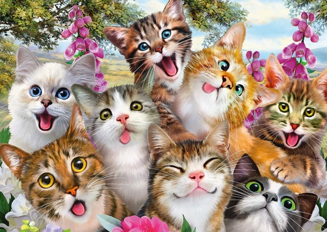 Puzzle Katzen-Selfie 500 Teile SCHMIDT